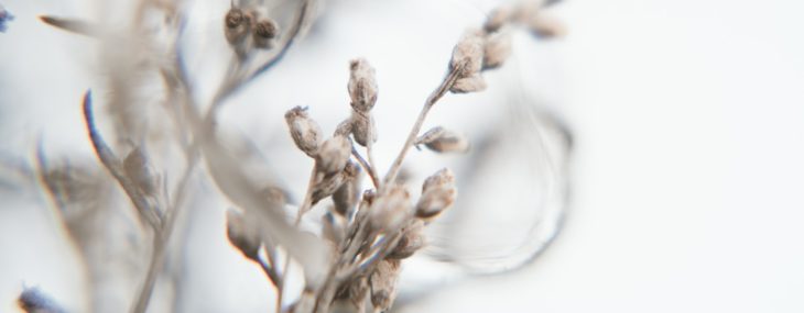 evie-s-QdVw5zVKzMg-unsplash