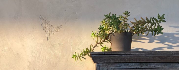 rebecca-orlov-orlov-design-co-PWJPPXlc2uk-unsplash (1)