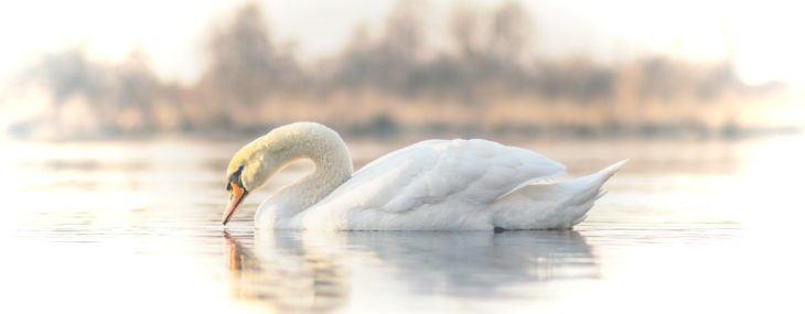 kacper-chrzanowski-a55ndeU-204-unsplash (1)